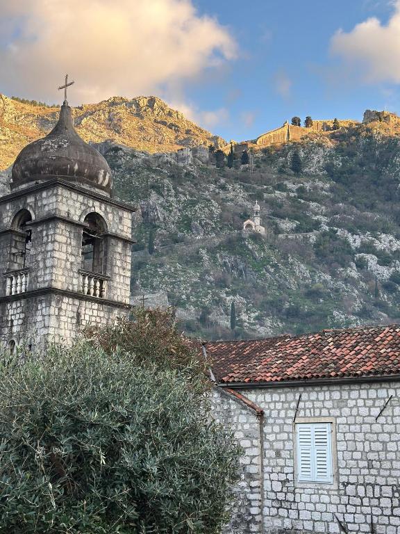 Palme – Tivat Sonnenuntergang
